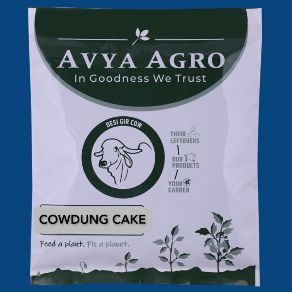 Cow Dung Cake
