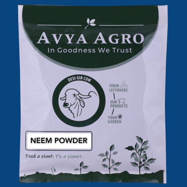 Neem Powder
