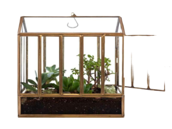 House Terrarium - Image 3