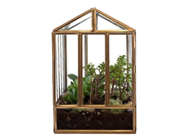 House Terrarium - Image 2