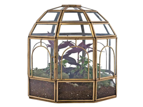 House Terrarium