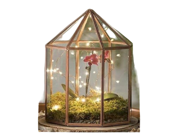 Metal Glass Geometric Terrarium