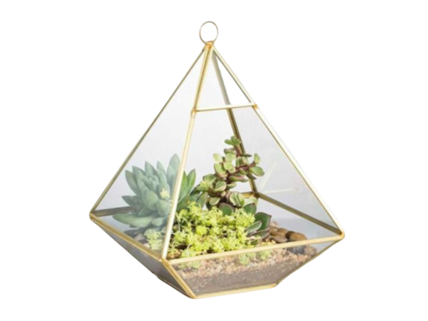 Clear Glass Geometric  Terrarium