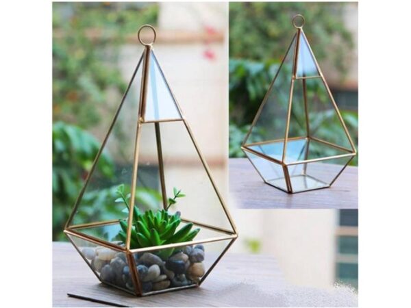 Pyramid Shape Glass VaseTerrarium