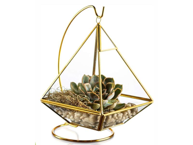 Terrarium with Stand