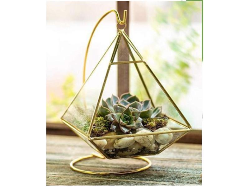 Terrarium with Stand