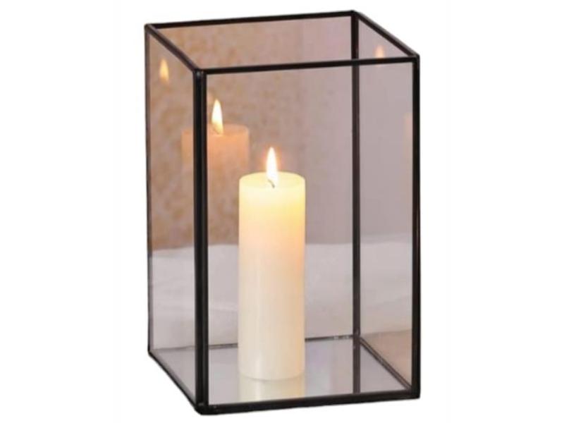 Rectangle Box Terrarium