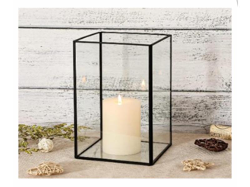 Rectangle Box Terrarium