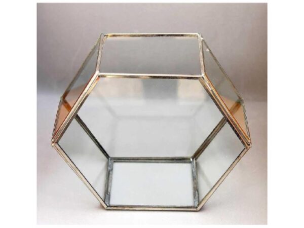 Octa Wall Terrarium