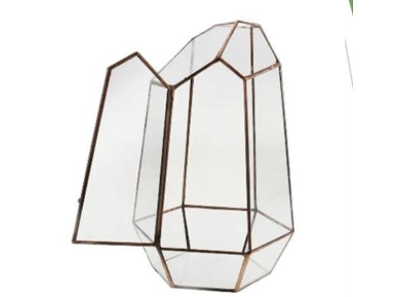 Geometric Glass Terrarium