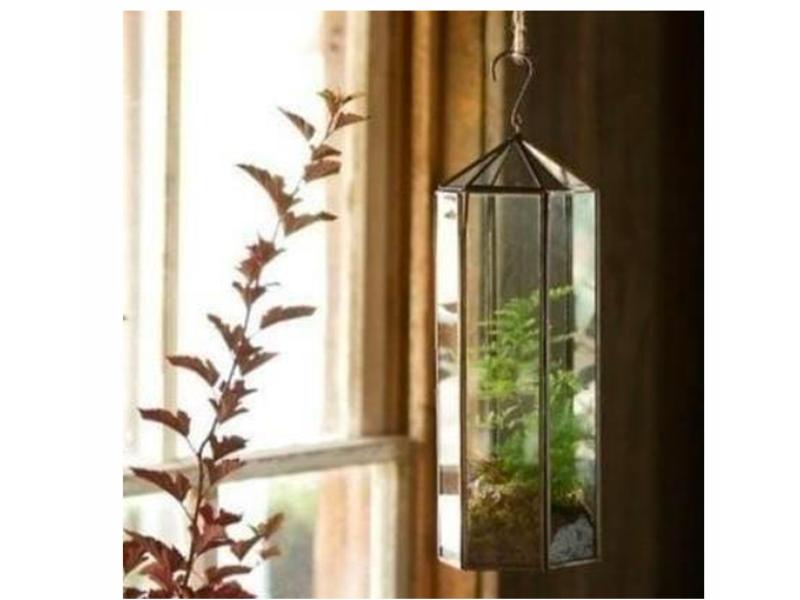 Hanging Lantern Terrarium