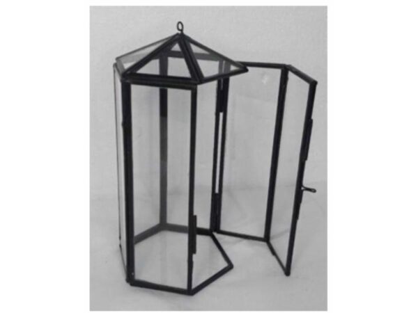 Hanging Lantern Terrarium