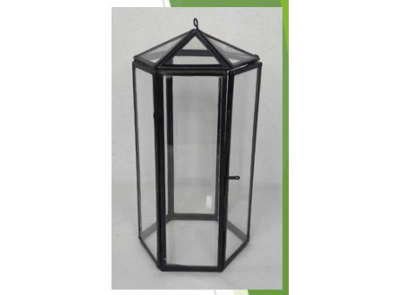 Hanging Lantern Terrarium
