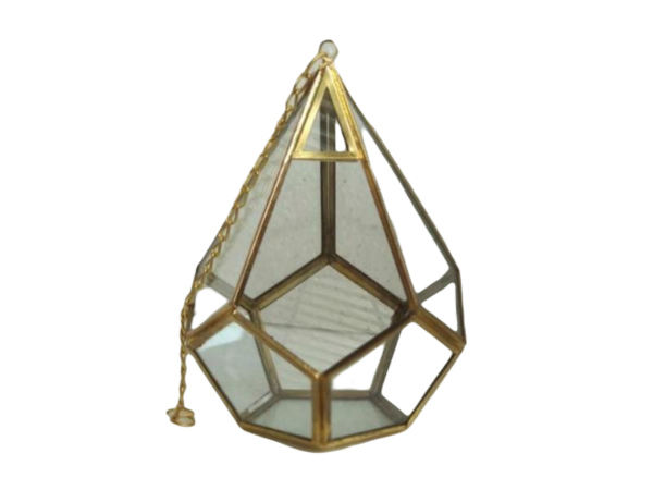 Teardrop Terrarium