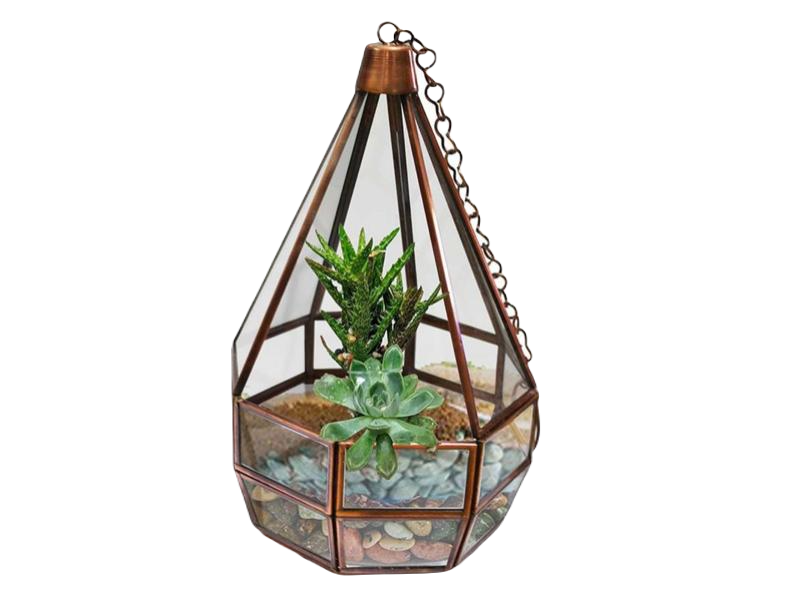 Cone Tower Terrarium