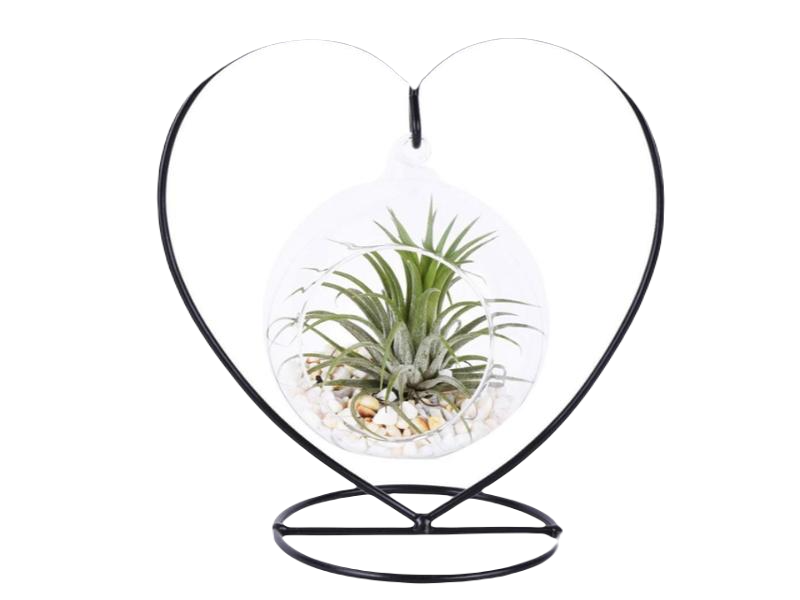Heart Planter Terrarium