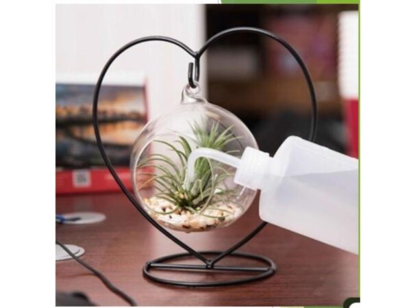 Heart Planter Terrarium