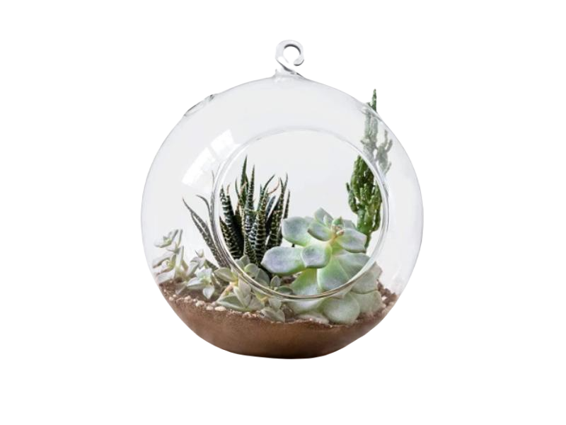 Terrarium Ball