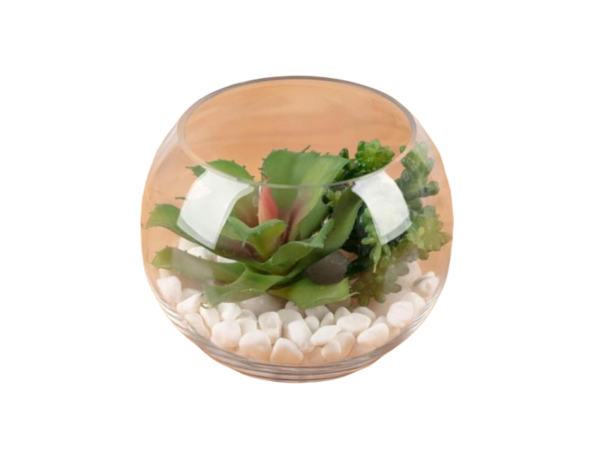 Bowl Terrarium