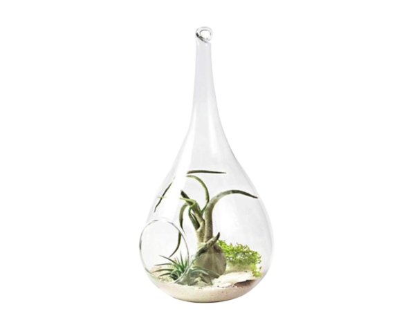 Hanging Glass Flower Vase