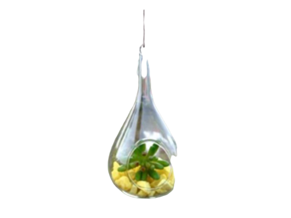 Hanging Glass Flower Vase