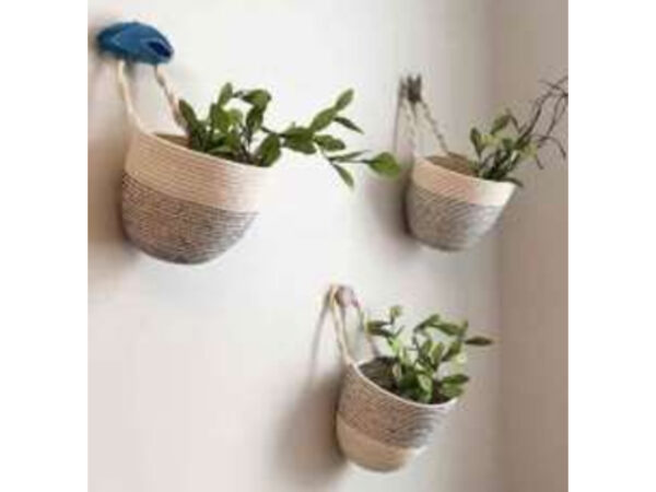Hanging Baskets - Image 2