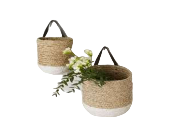 Hanging Baskets