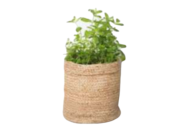 Jute Planter Baskets