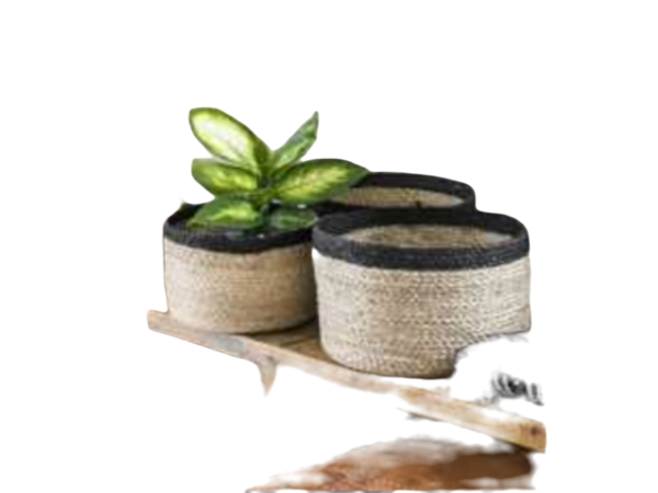 Jute Planters - Image 3