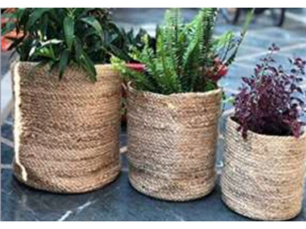 Jute Planters - Image 5