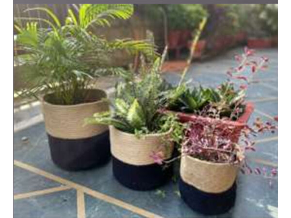 Jute Planters - Image 6